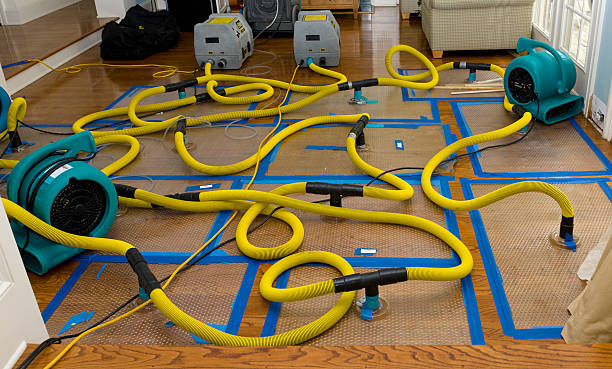 Professional Water Extraction technician working in Hustisford, WI